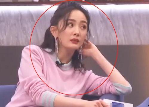 娱乐圈吃瓜公众号金晨